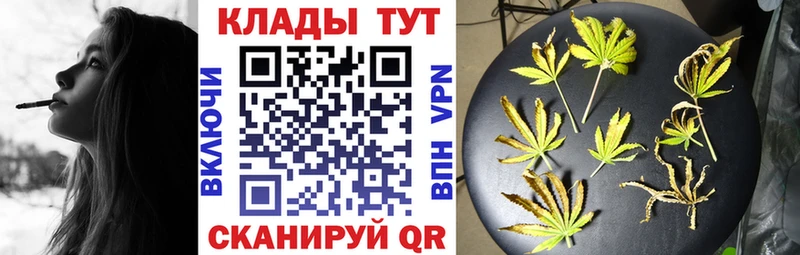Магазины продажи наркотиков Павловск A-PVP  Галлюциногенные грибы  mega   Cocaine  Мефедрон  Конопля 