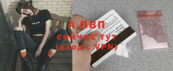спиды Бородино