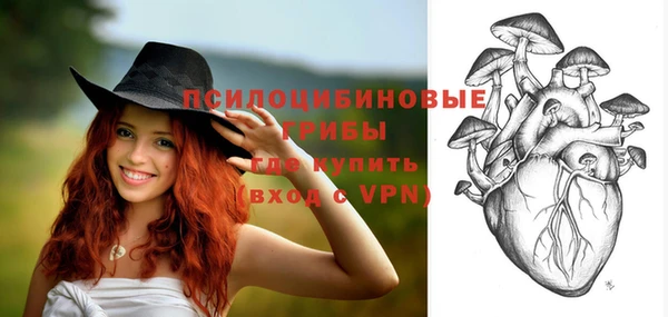 спиды Бородино