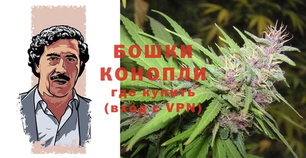 спиды Бородино
