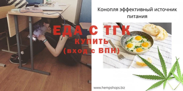 спиды Бородино