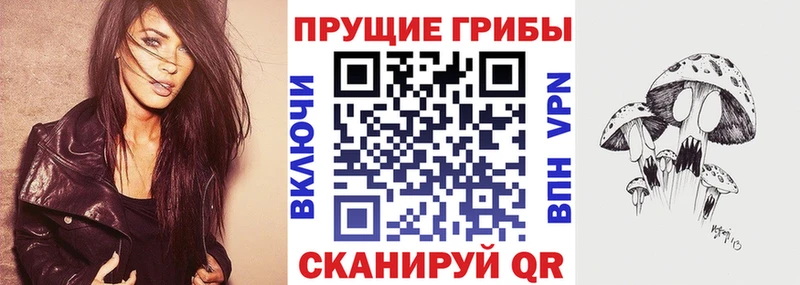 наркотики  Павловск  Галлюциногенные грибы прущие грибы 